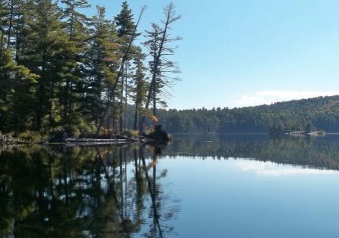 sec lake wet lake